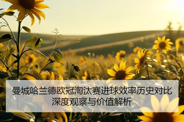 曼城哈兰德欧冠淘汰赛进球效率历史对比深度观察与价值解析
